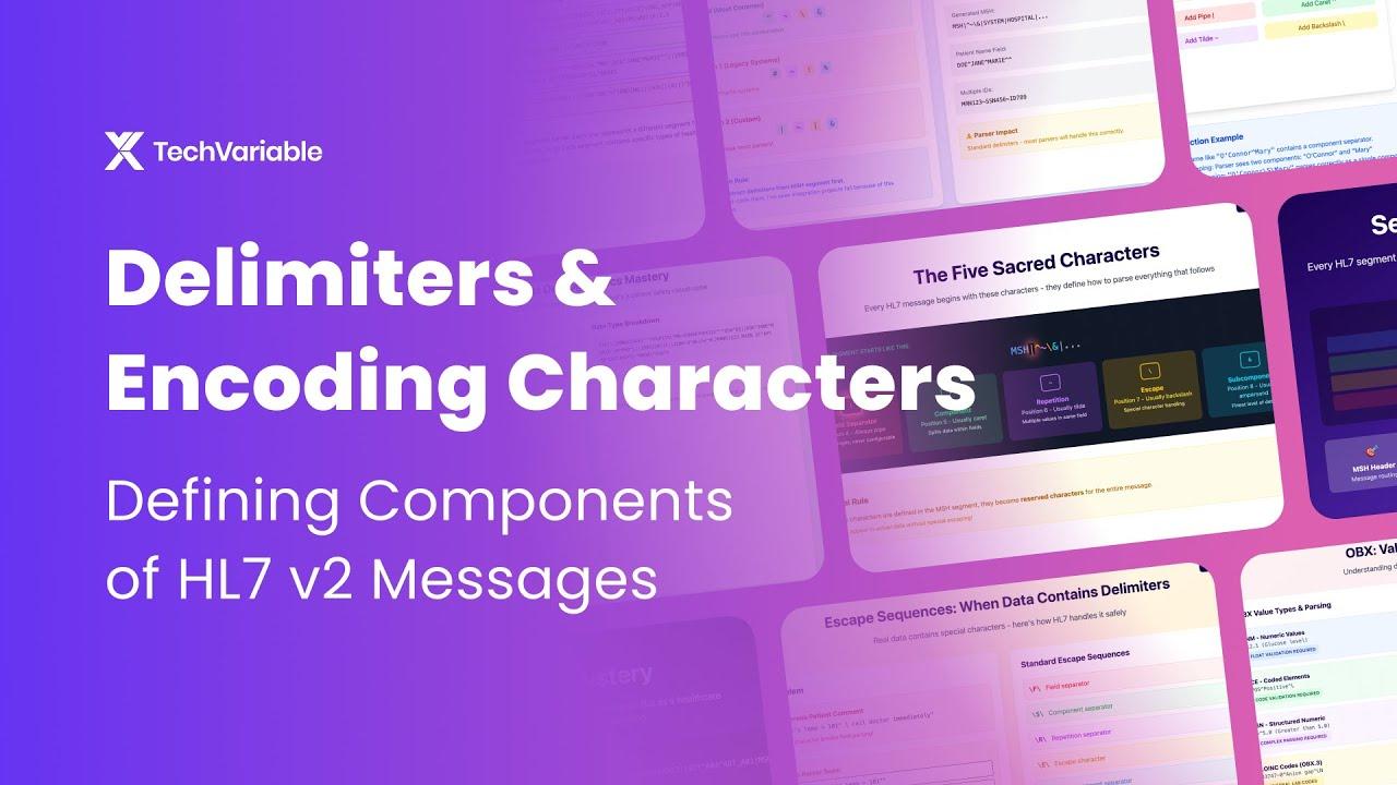 Delimiters & Encoding Characters Explained | HL7 v2 | TechVariable